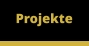 Projekte